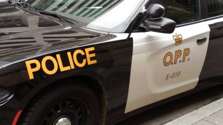 Red Lake OPP have charged a man with animal cruelty after several chickens and rabbits were killed during a break and enter in Balmerton, Ont.