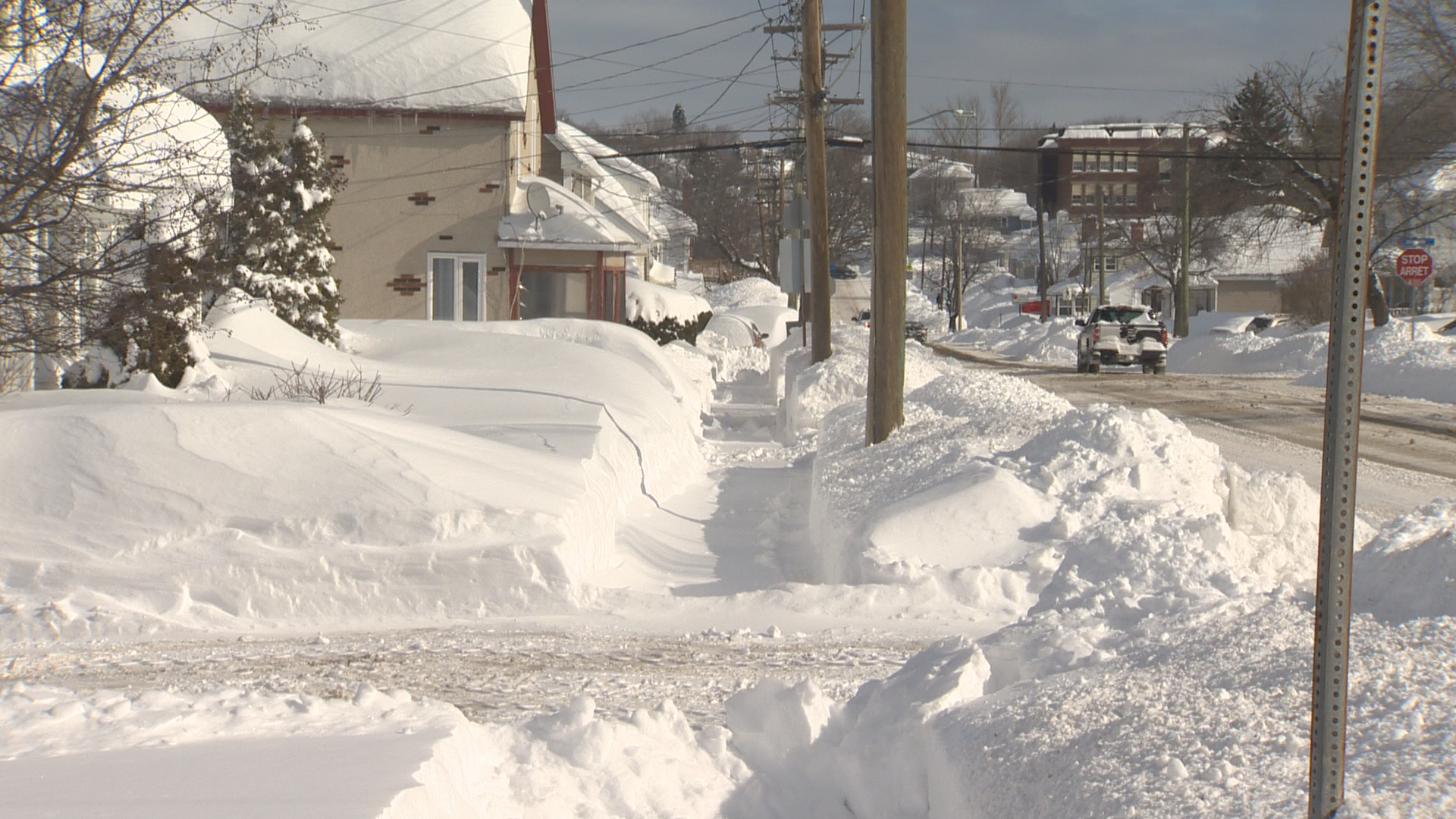 Northern N.B. Storm: The Impact Of Cancellations And Closures - New ...