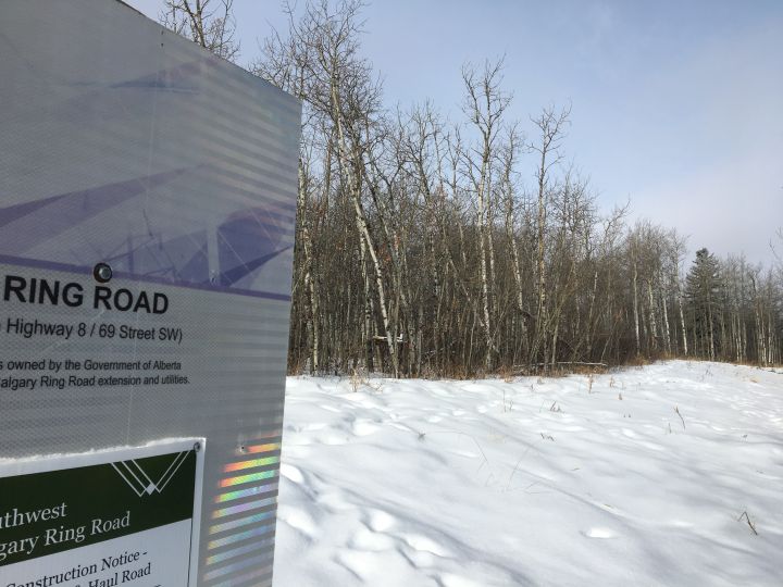 An area near Aspen Woods where trees are slated to be cut down to make way for construction on the West Calgary Ring Road project.