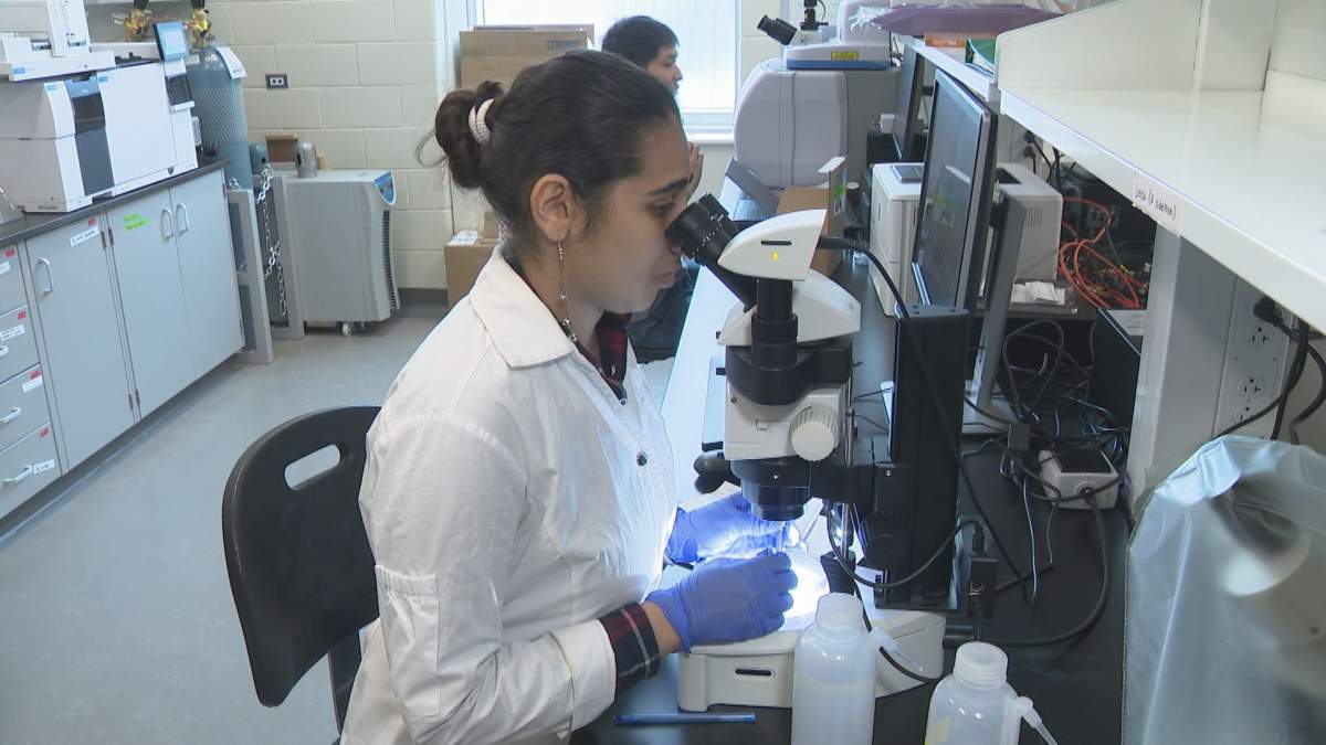 Women in STEM: the ongoing struggle against inequality - image