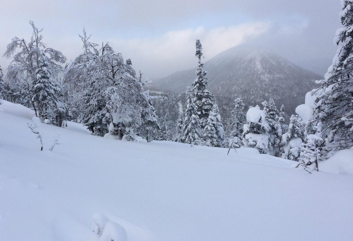 Police say the avalanche happened in a remote area of the Chic-Choc Mountains, an area reserved for expert alpine skiers. 