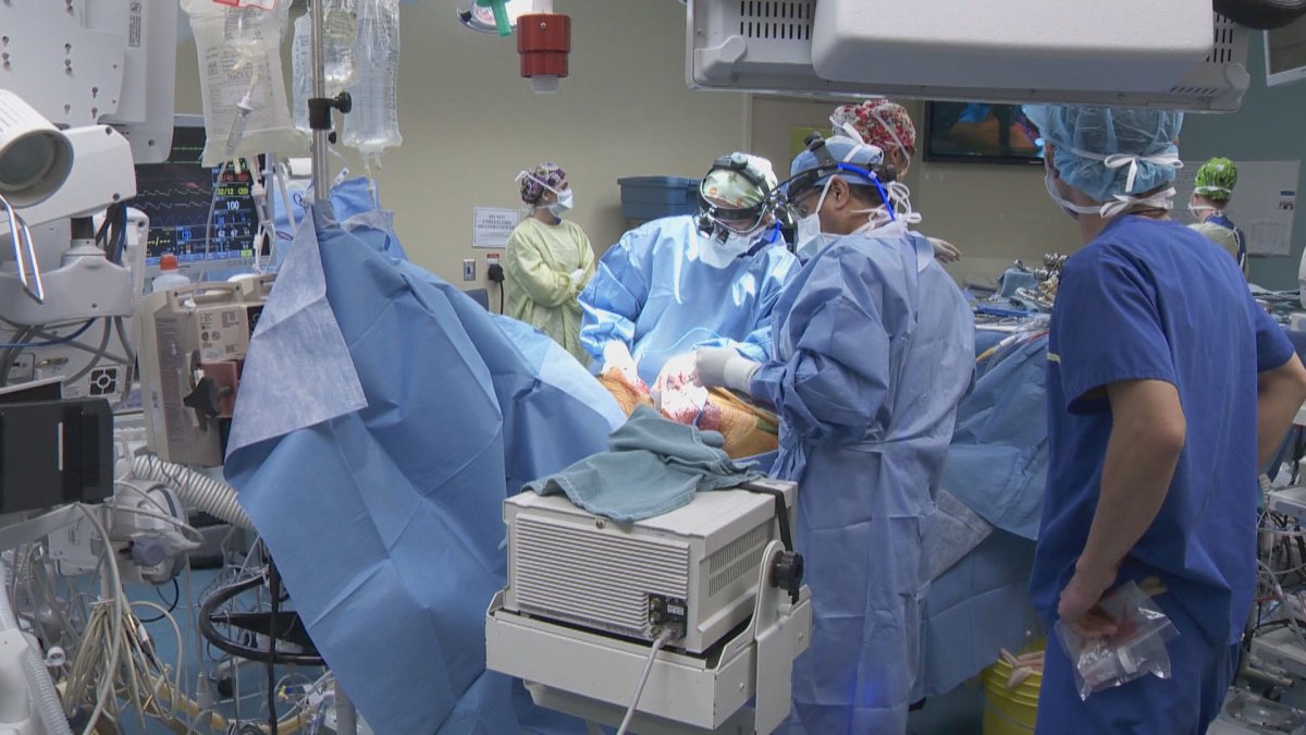 Organ donor numbers reached an all-time high in 2019, Transplant Quebec reports - image