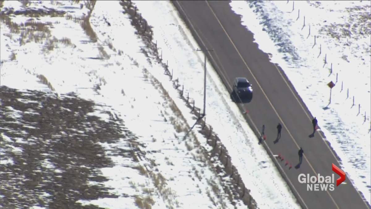 RCMP Major Crimes investigating after body found west of Calgary - image