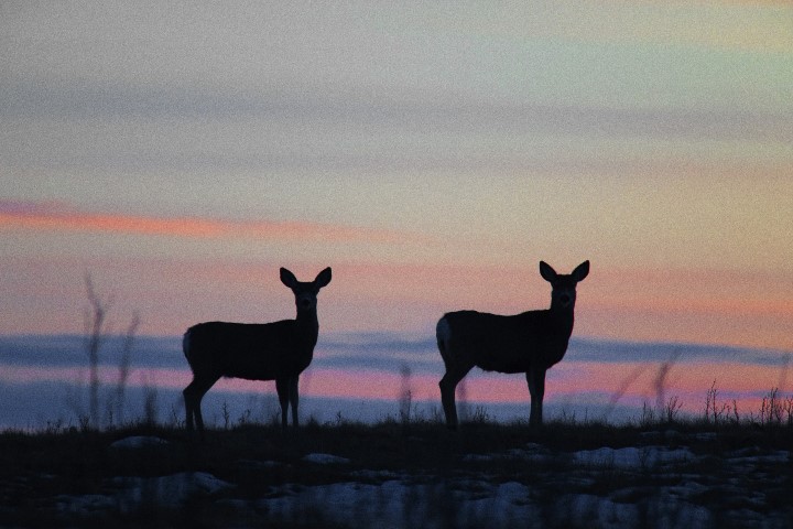 Delores Letourneau took the March 31 Your Saskatchewan photo of the day in St. Denis.