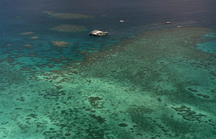 A file photo shows Agincourt Reef, located about 30 miles off the coast near the northern reaches of the 1,200-mile long Great Barrier Reef. 