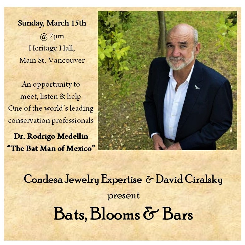 Bats, Blooms & Bars - image