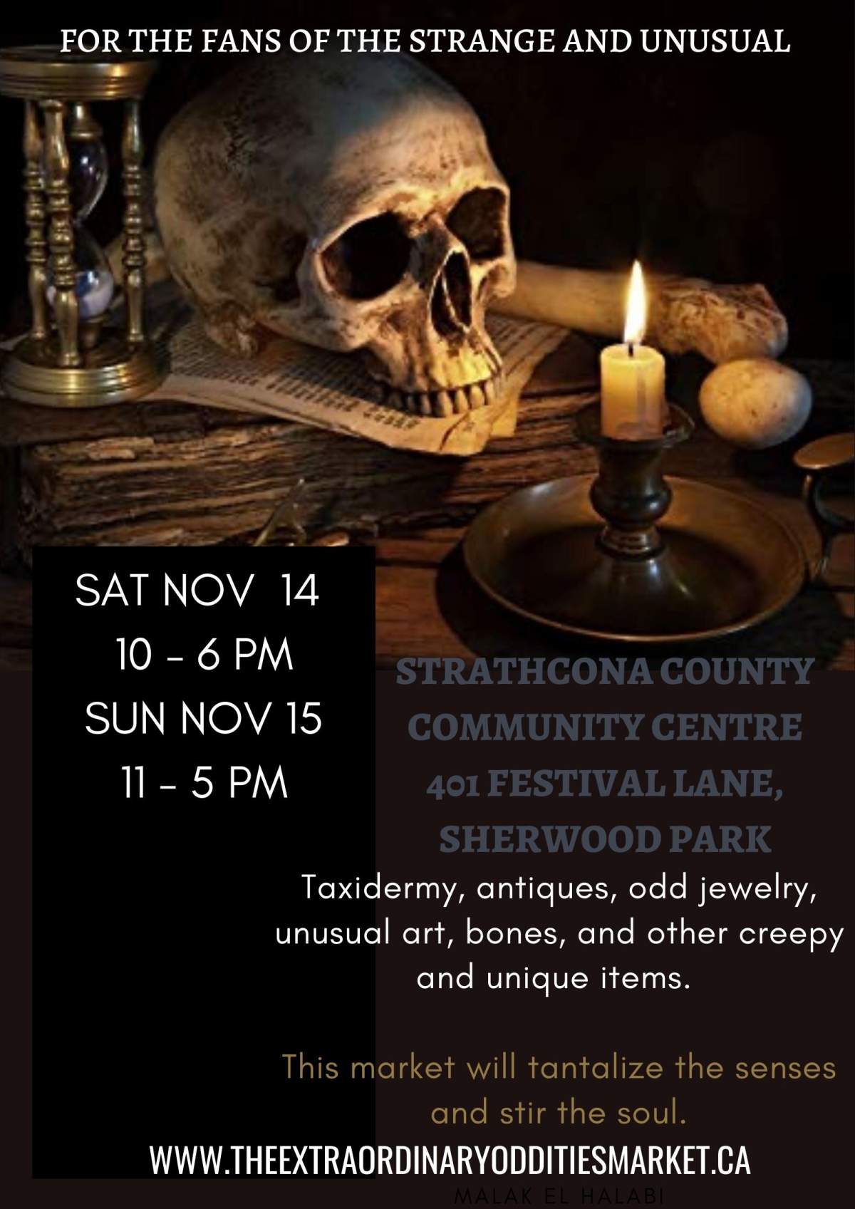The Extraordinary Oddities Market - image