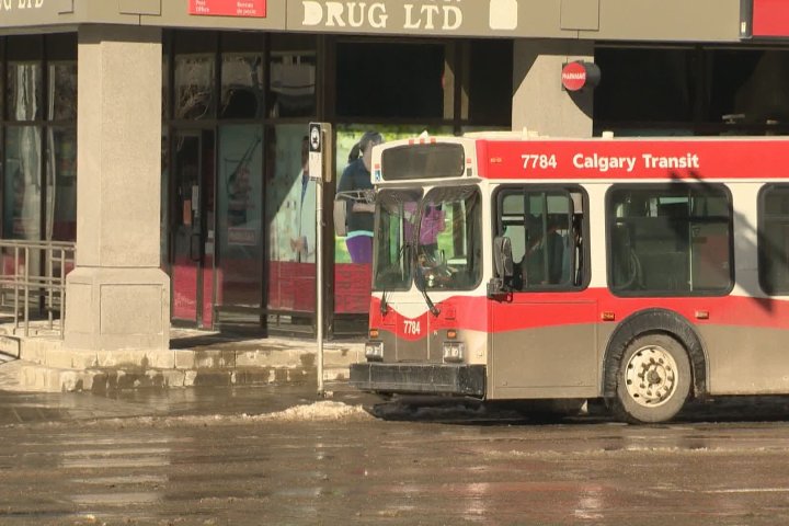 Calgary Transit to entice riders with new trivia bus