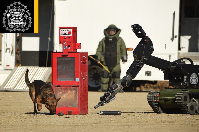 Calgary Police Service explosive-detection dog Cinco at work. 