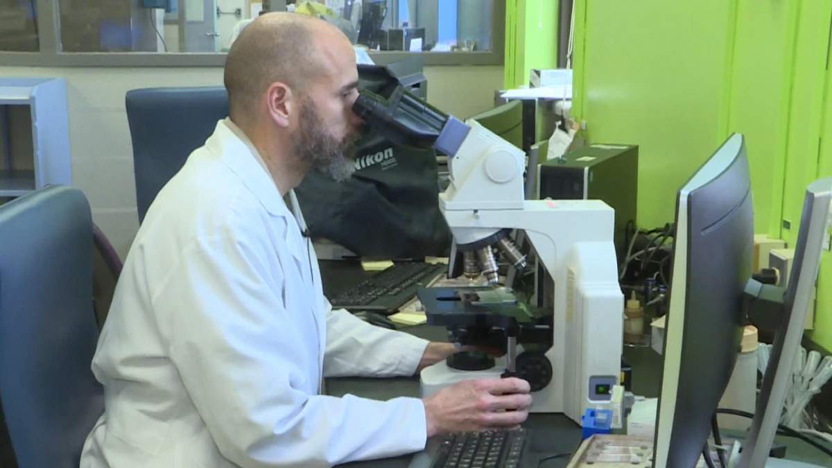 Image of a doctor testing for COVID-19 in Nova Scotia.