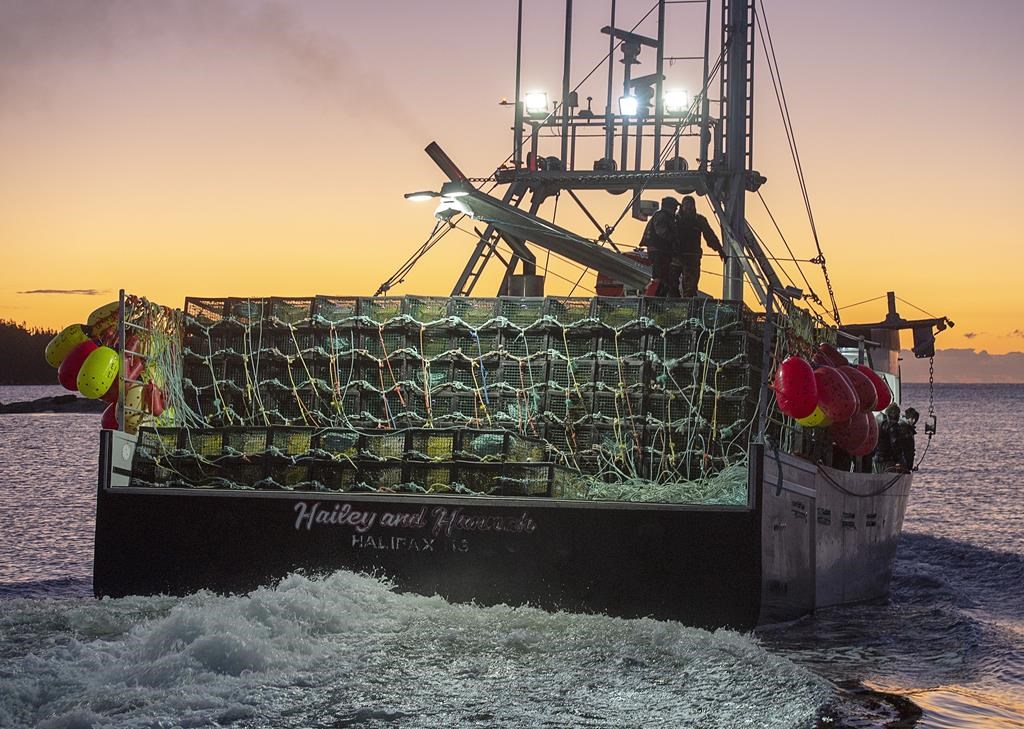 A fishing boat, loaded with traps, head from port in West Dover, N.S. on Tuesday, Nov. 26, 2019 as the lobster season on Nova Scotia's South Shore begins after a one-day weather delay. Nova Scotia's lobster industry has taken a tentative step aimed at reopening its crucial export market in China. THE CANADIAN PRESS/Andrew Vaughan.
