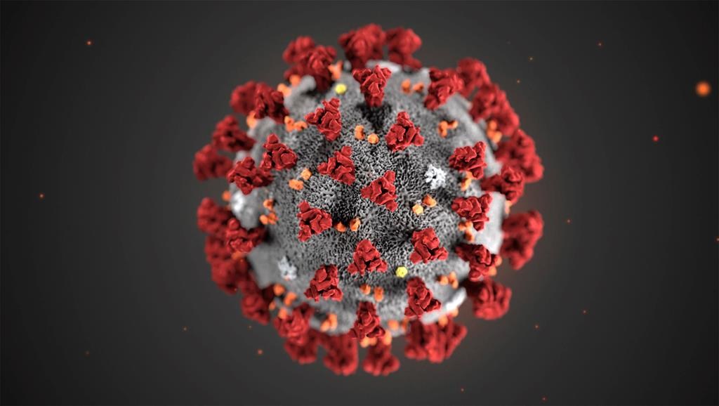 FILE - In this illustration provided by the Centers for Disease Control and Prevention (CDC) in January 2020 shows the 2019 Novel Coronavirus (2019-nCoV).
