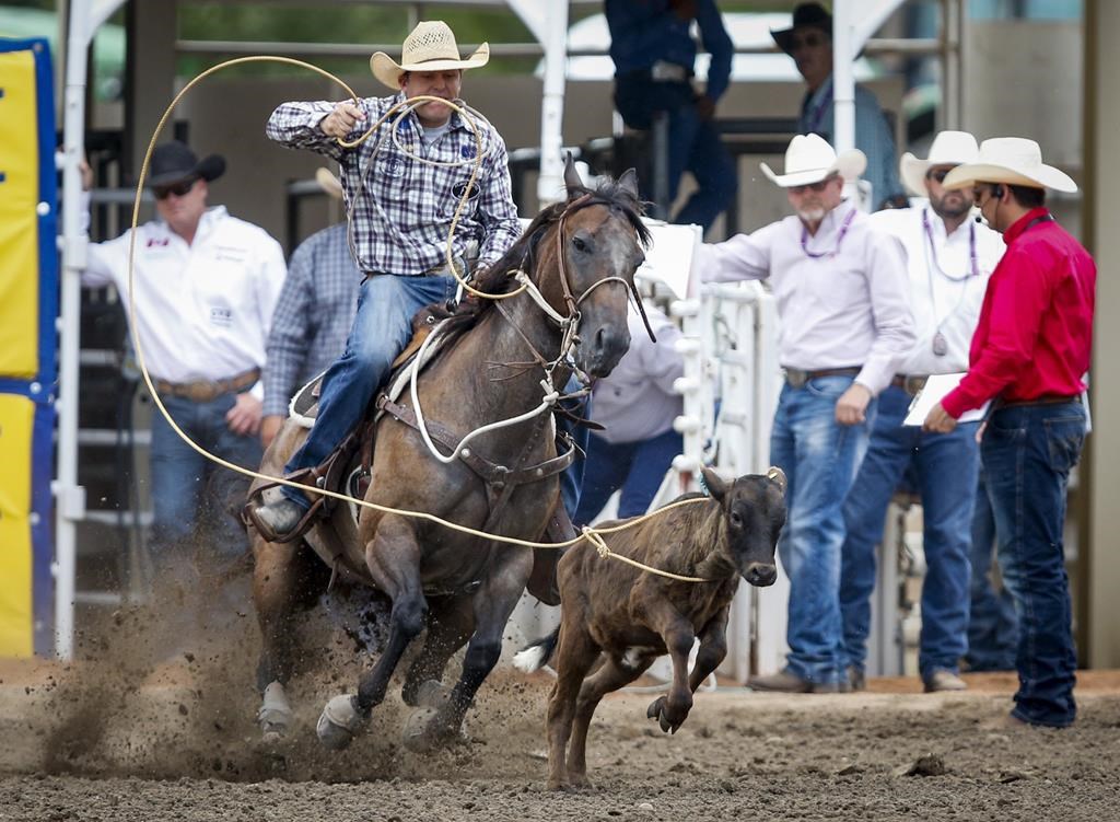 Caleb Smidt, of Bellville, Texas, ropes a calf during semi-final rodeo action at the Calgary Stampede in Calgary, Sunday, July 14, 2019.