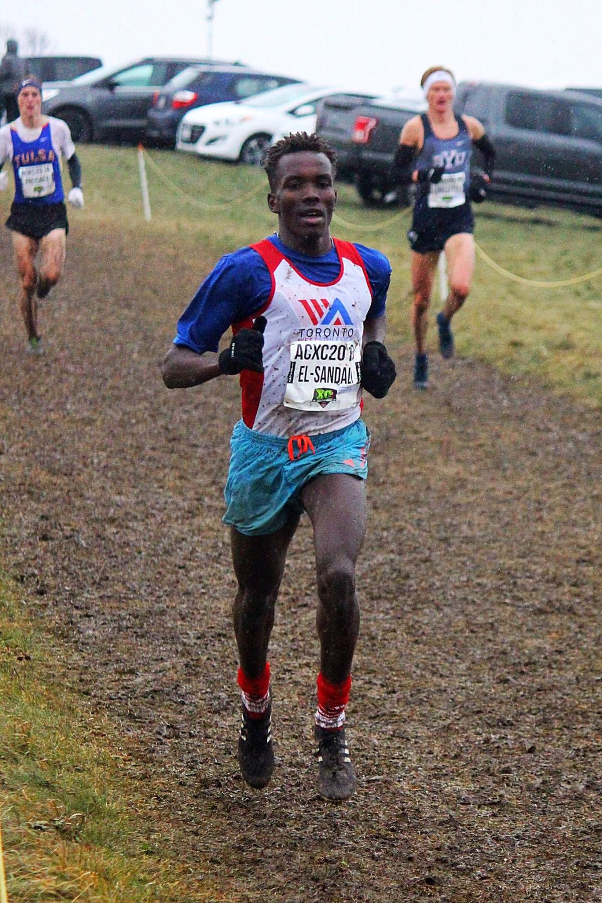 Photo courtesy of Ehab El-Sandali