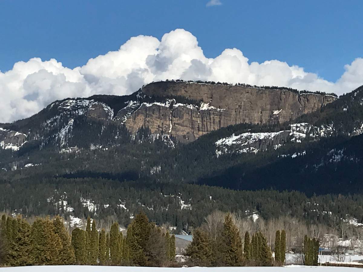 Enderby cliffs – Barb Tomlinson