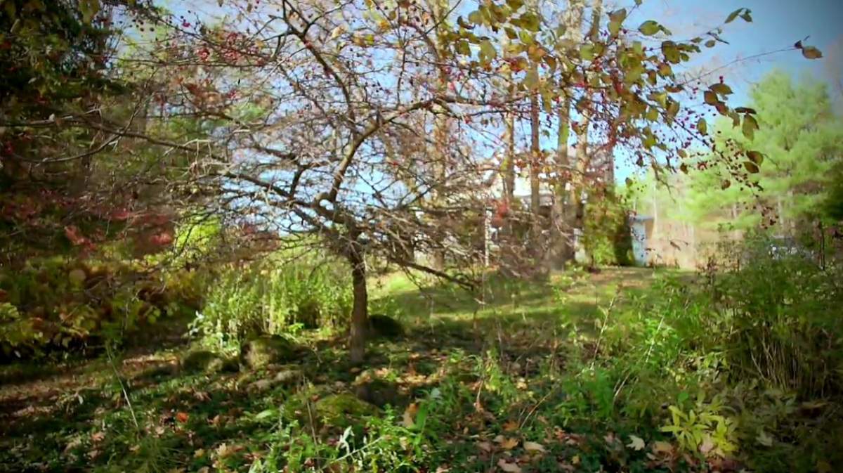 Lesley Parrott’s family farm.