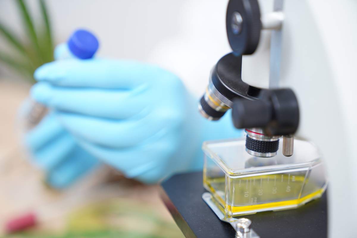 The school says funding will be awarded to as many as 20 interdisciplinary research projects.