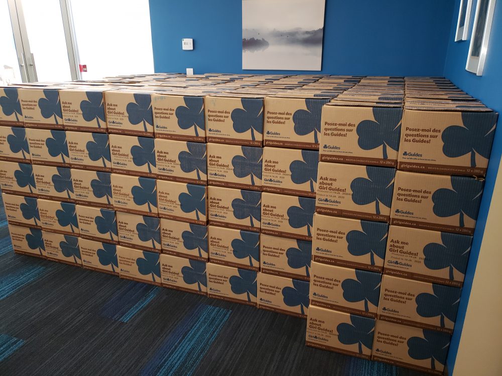 B.C. Girl Guides are sitting on 800,000 boxes of cookies after the novel coronavirus pandemic derailed their annual spring fundraiser. 