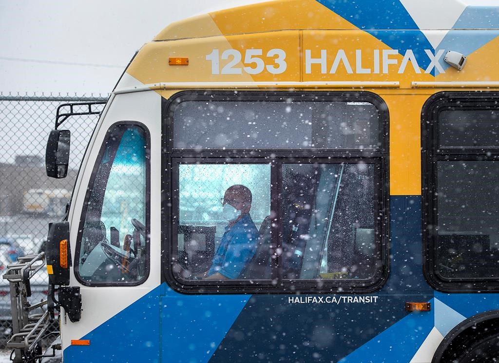 A driver waits at a stop outside the Halifax Transit Burnside maintenance depot Dartmouth, N.S. on Thursday, March 26, 2020.