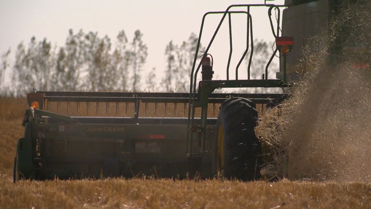 Fifty-two per cent of fall rye, 19 per cent of winter wheat, six per cent of field peas and three per cent of lentils are now in the bin, according to Sask Ag.