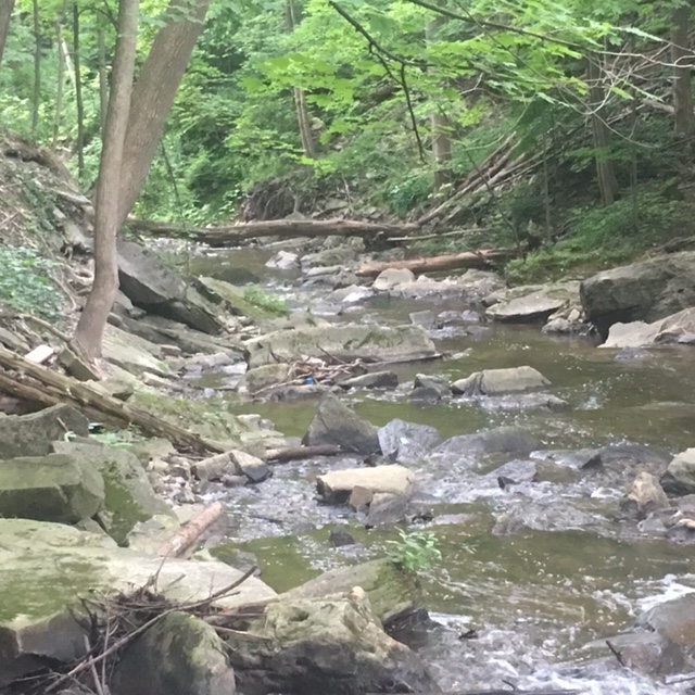 The Hamilton Conservation Authority now has 12,000 pass holders, compared to six thousand at the start of the pandemic.