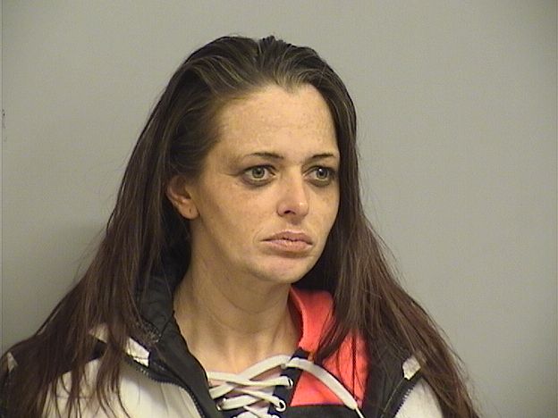 Heidi Louise Kolteryahn was charged with meth trafficking, possession of drug paraphernalia and illegal possession of wildlife.