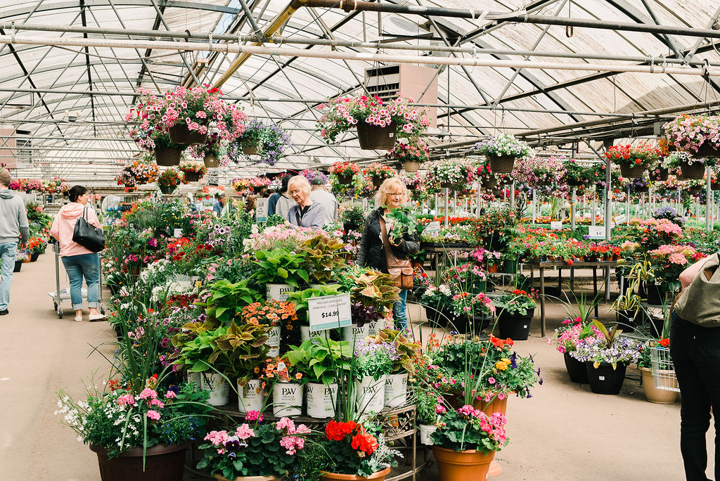 Shoppers at Golden Acre Home and Garden.