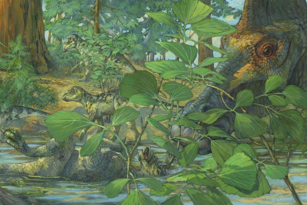 A reconstruction of the nesting ground of Hypacrosaurus stebingeri from the Two Medicine formation of Montana.