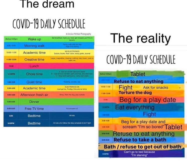 A COVID-19 meme circulating on social media.