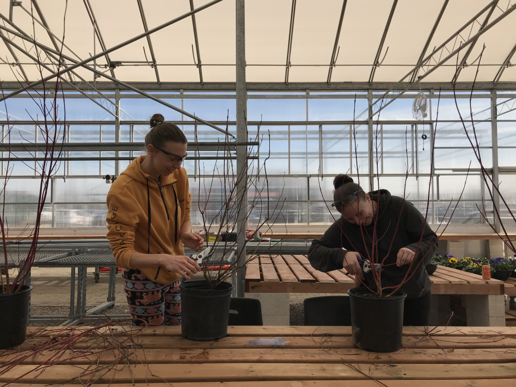Marika Reed (left) and Natalie Page (right) are two students of Mohawk College's City School's latest program that focuses on horticulture and landscaping and operates out of its second mobile classroom.