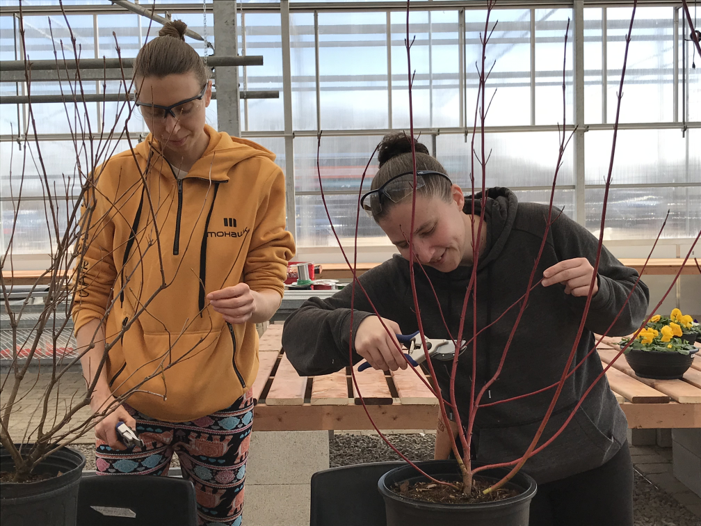 Lisa Polewski / 900 CHML