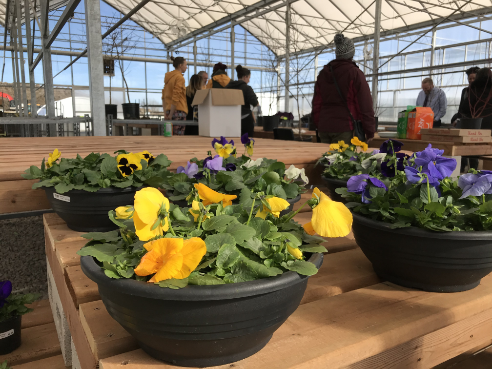 Lisa Polewski / 900 CHML