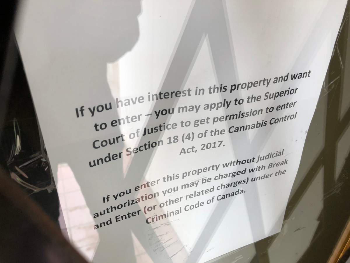 Peterborough man charged with operating illegal pot shop in downtown: police - image