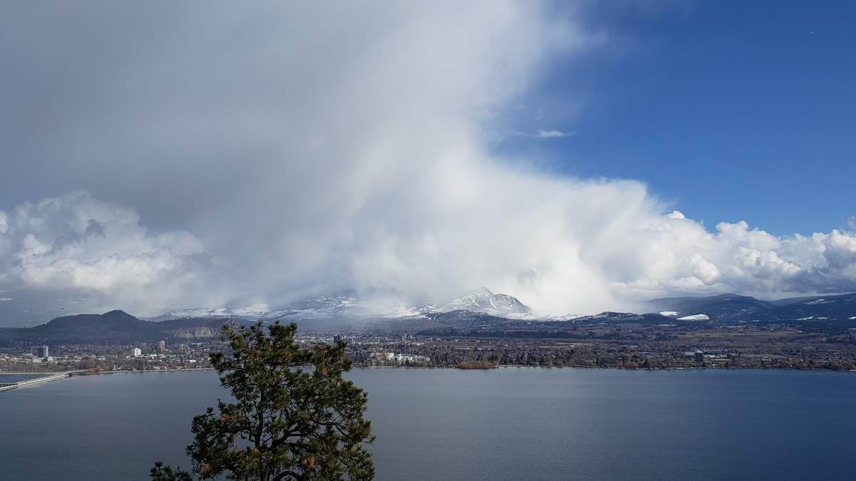 Mixed weather – Elaine Grison