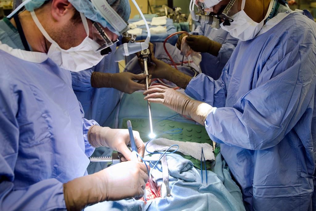 Two Manitoba patients transferred out of province for cardiac surgery - image