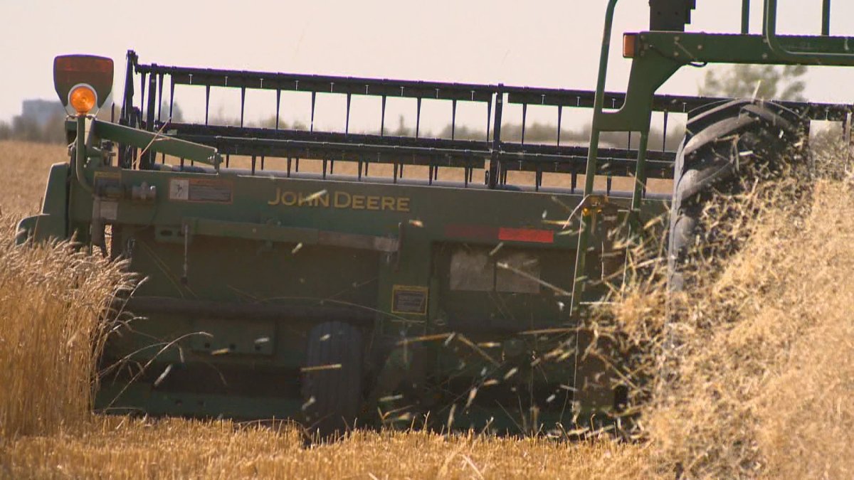 A new report is examining the mental health of Canada's agricultural producers.