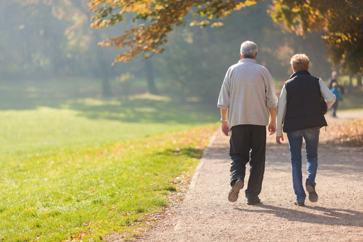 Two people walking in a park in early fall, facing away from camera.