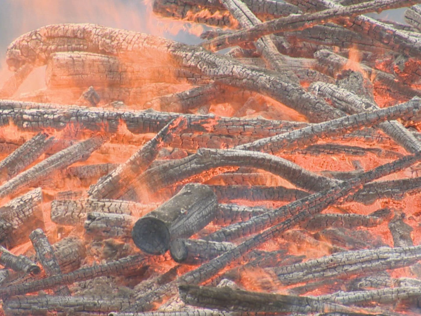 BC Wildfire to burn around 100 slash piles east of Naramata