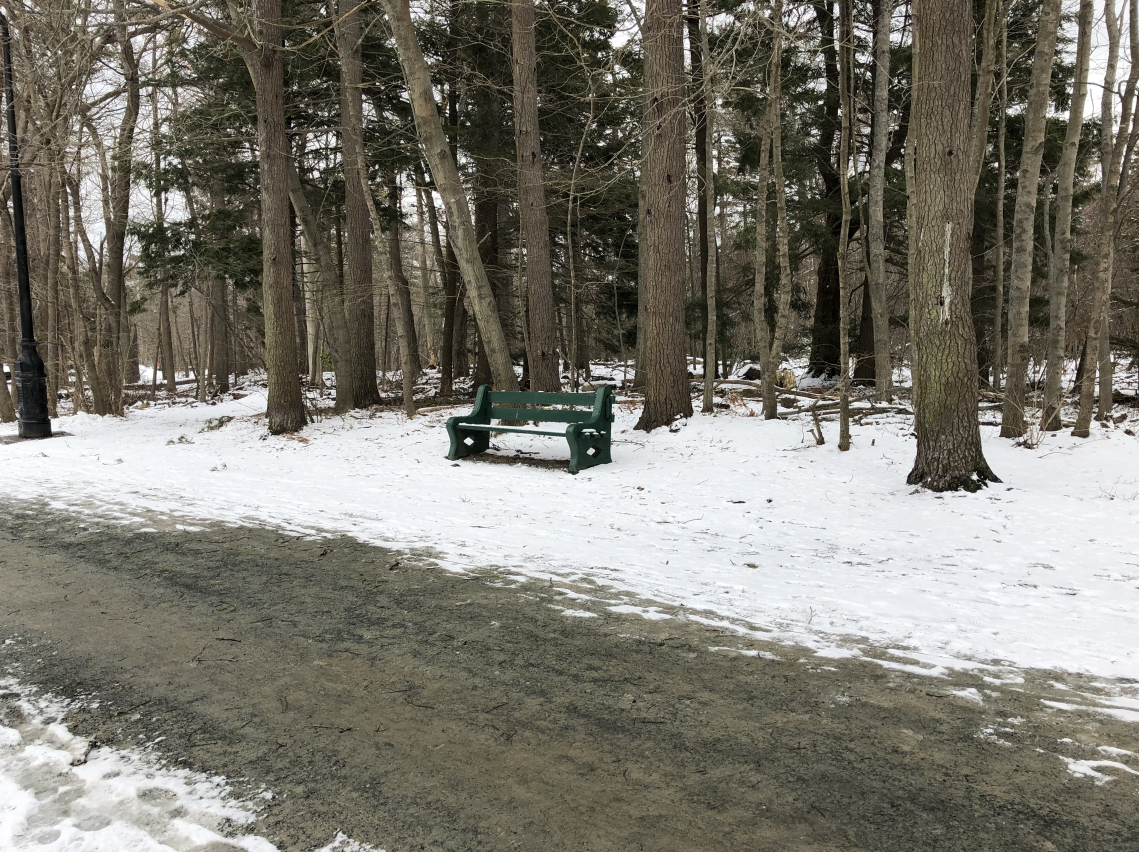 Point Pleasant Park in Halifax is seen on Sunday, March 1, 2020. 