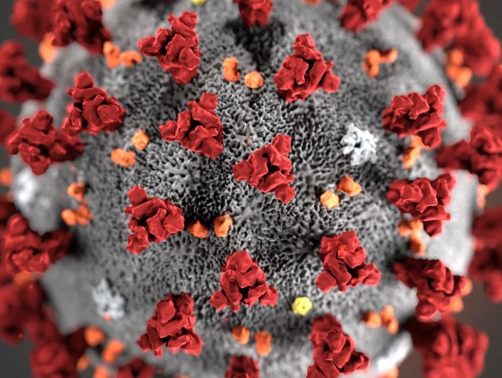 In this illustration provided by the Centers for Disease Control and Prevention (CDC) in January 2020 shows the 2019 novel coronavirus (2019-nCoV).
