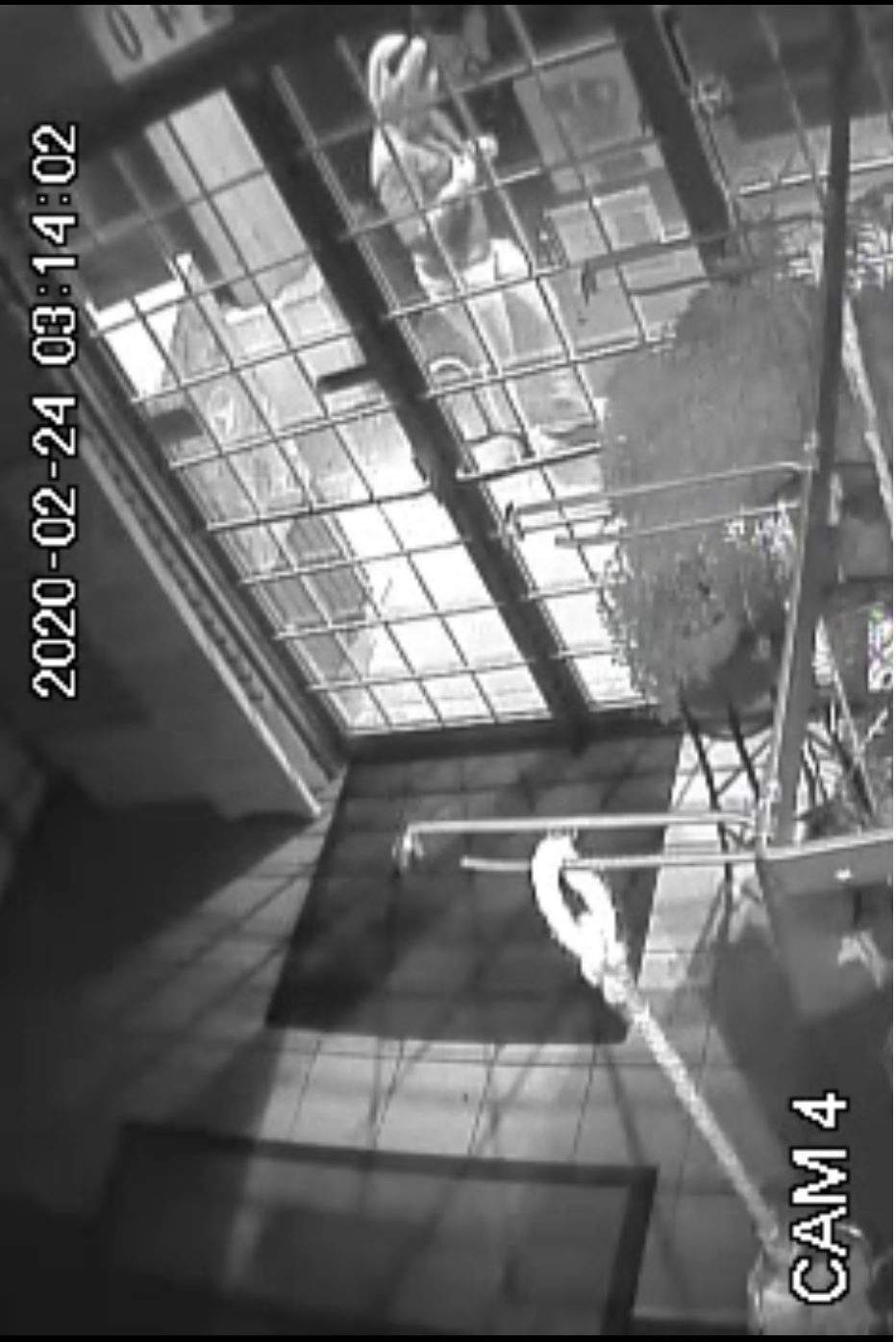 A surveillance camera captures an image of Nirla Sharma.