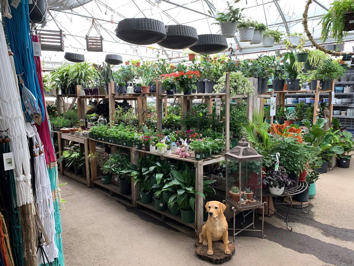 Spruce it Up Garden Centre in southwest Calgary.