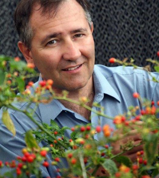 Former Manitoban Allen Van Deynze, now living in California.