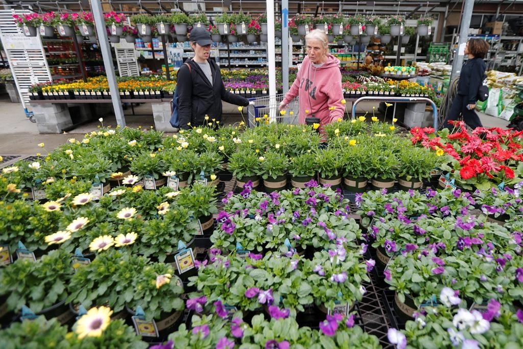 Gail Henrickson, right, and her daughter, Melissa, shop for plants at a local garden center as they stay at home during the coronavirus outbreak (AP Photo/Steve Helber).