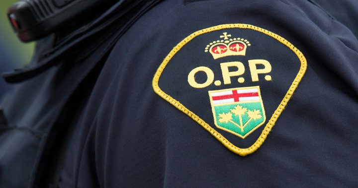 Human remains found 2 days after house fire in Central Huron: OPP