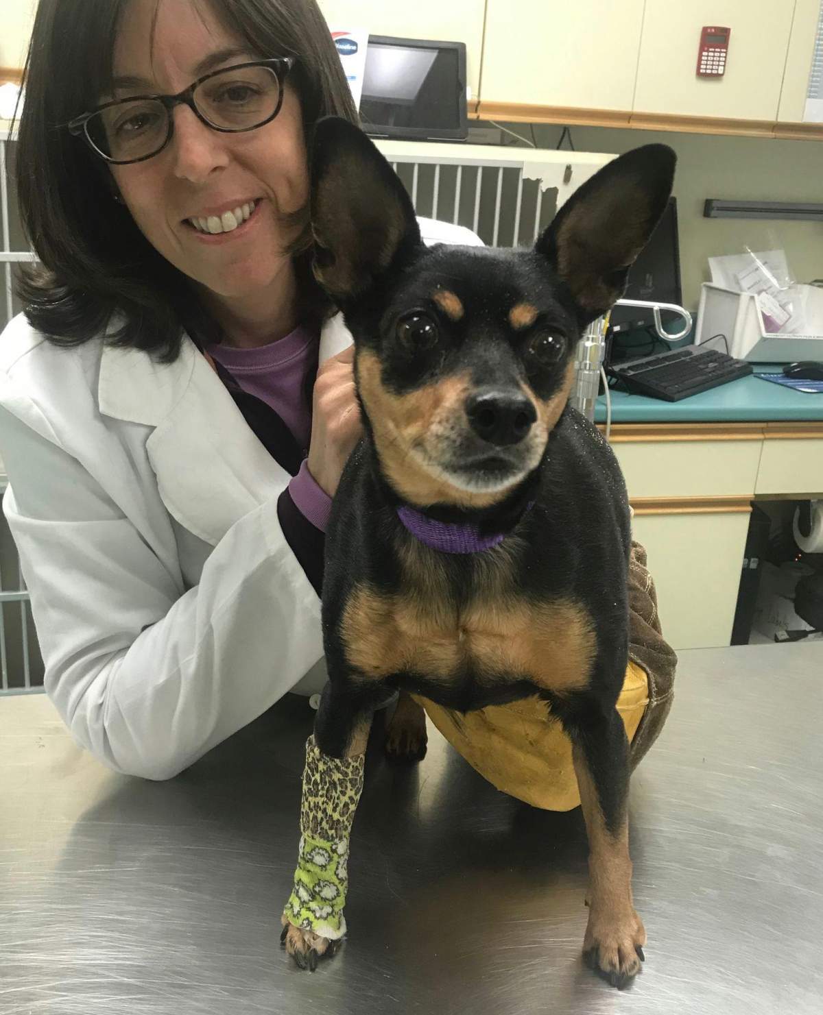Zoey underwent surgery Sunday with Dr. Jennifer McKay for a gunshot wound.