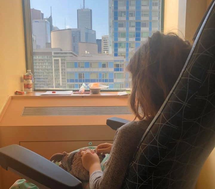 A young girl mauled by two St. Bernards is recovering at Toronto's Hospital for Sick Children.