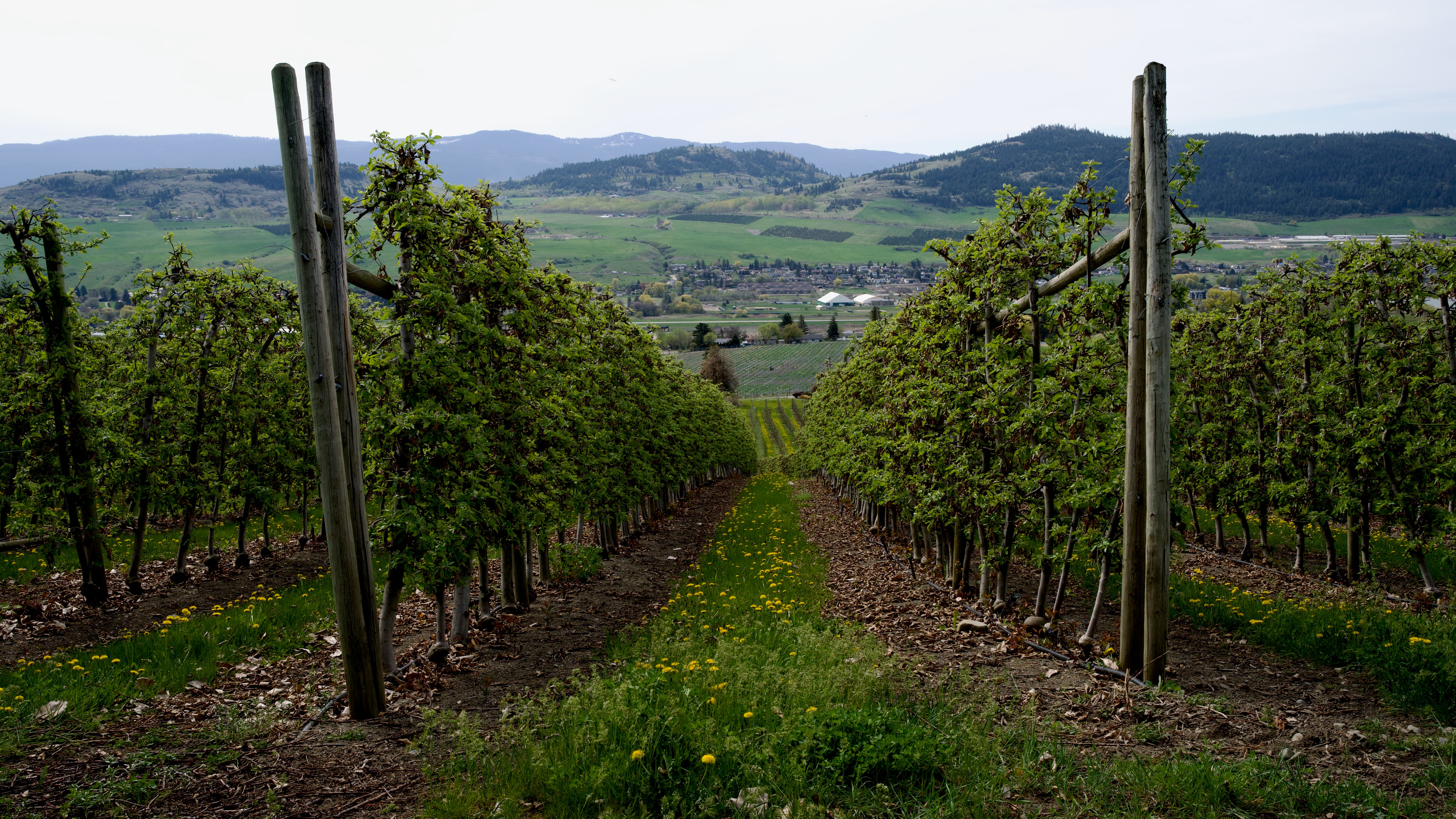 Кейти Сардиня последва стъпките на семейството си и продължи традицията