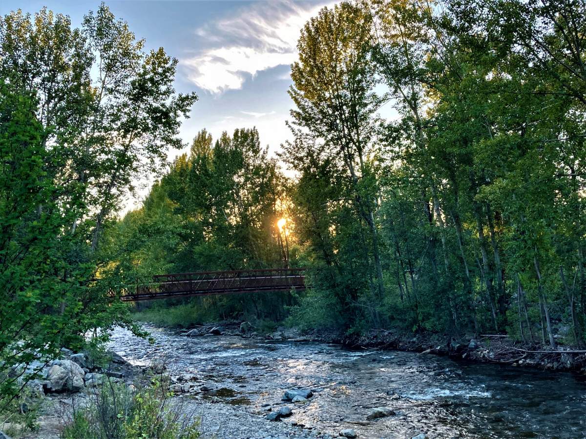 Bright Evening on the Mission Creek Greenway .