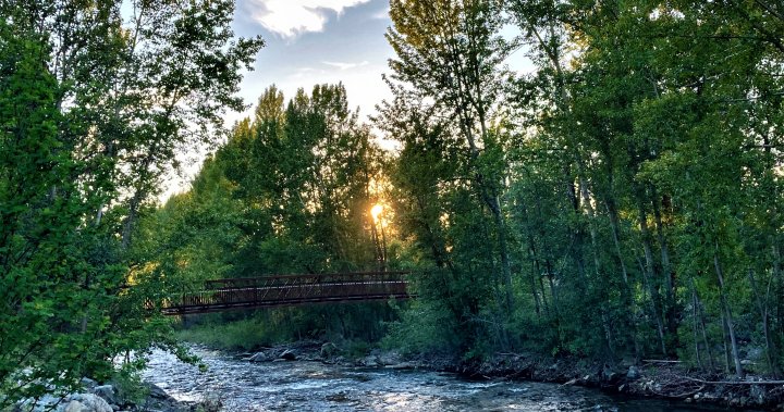 Mission Creek Greenway temporarily closed for flood protection work